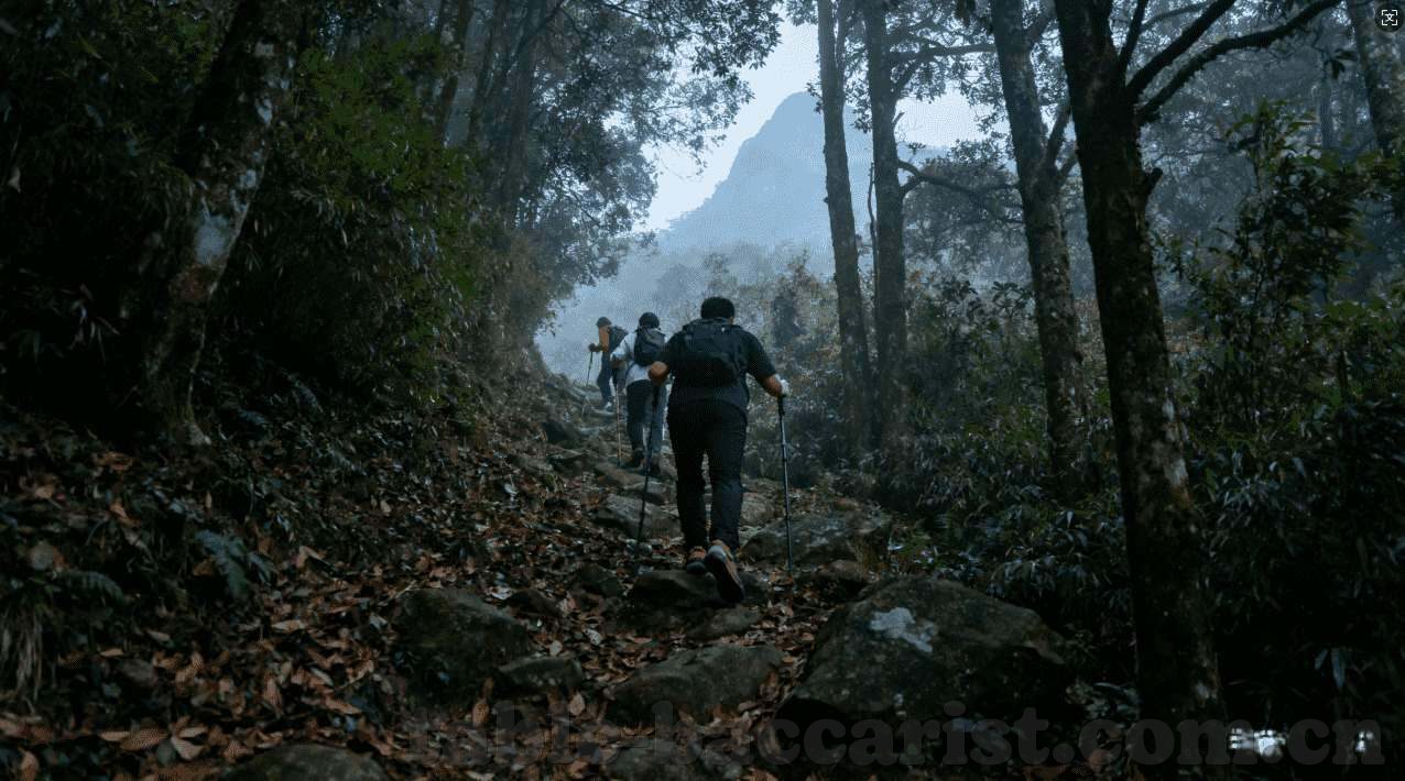 博雅体育官方app下载安装手机版-探索体育新视界，博雅体育官方App手机版的下载安装与体验之旅